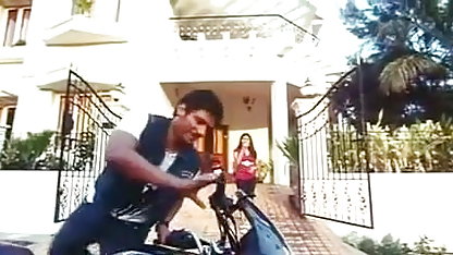 அழகுக்கு சிறிய பிரஞ்சு பெரிய டிக்
