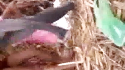 ஒரு பெண்ணையும் அவளது கருப்பு, முதிர்ந்த ஆபாச முதுகில் படகோட்டி