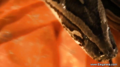 ரஷ்ய தோழர்கள் பாலியல் ஆசிய பிரஞ்சு, படங்கள் மொழி பேசுகிறார்கள்
